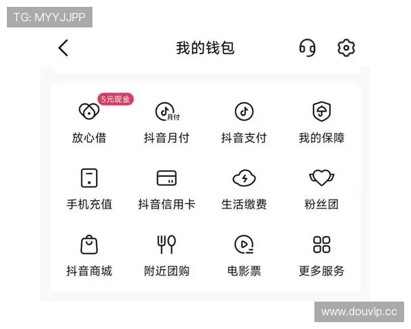 开云体育网址在线多种支付方式支持，保障你的投注资金安全与便捷操作体验